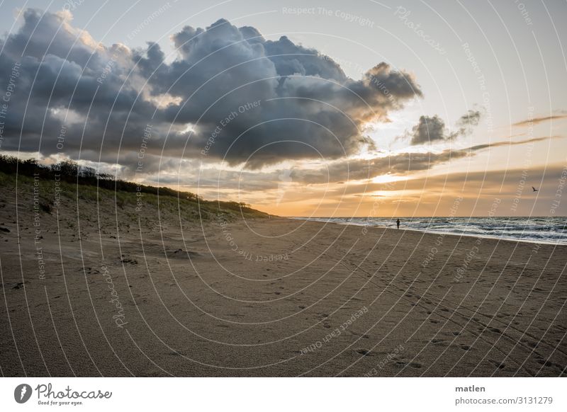 Herbstabend Natur Landschaft Himmel Wolken Horizont Sonnenaufgang Sonnenuntergang Schönes Wetter Wind Wellen Küste Strand Ostsee maritim blau braun grau orange