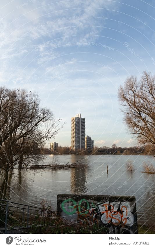 Rhein Hochwasser bei Köln-Mülheim mit Colonia-Hochhaus (Jugendpark) Natur Wasser Himmel Wolken Winter Schönes Wetter Baum Gras Sträucher Park Flussufer Rhiel