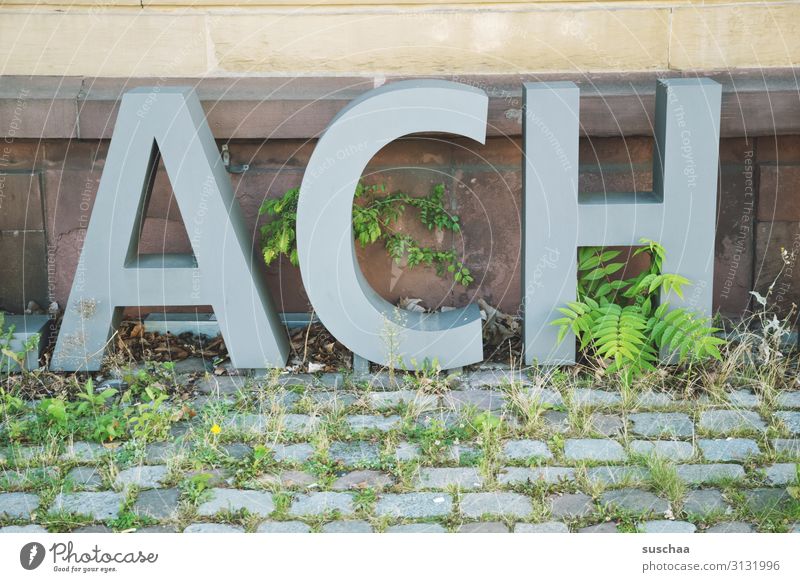 ach (soooooo) Buchstaben Großbuchstabe Wort Kapitälchen groß ACH Ausruf Wand Außenaufnahme Kopfsteinpflaster Pflanze Grünpflanze bewachsen Unkraut Stadtleben