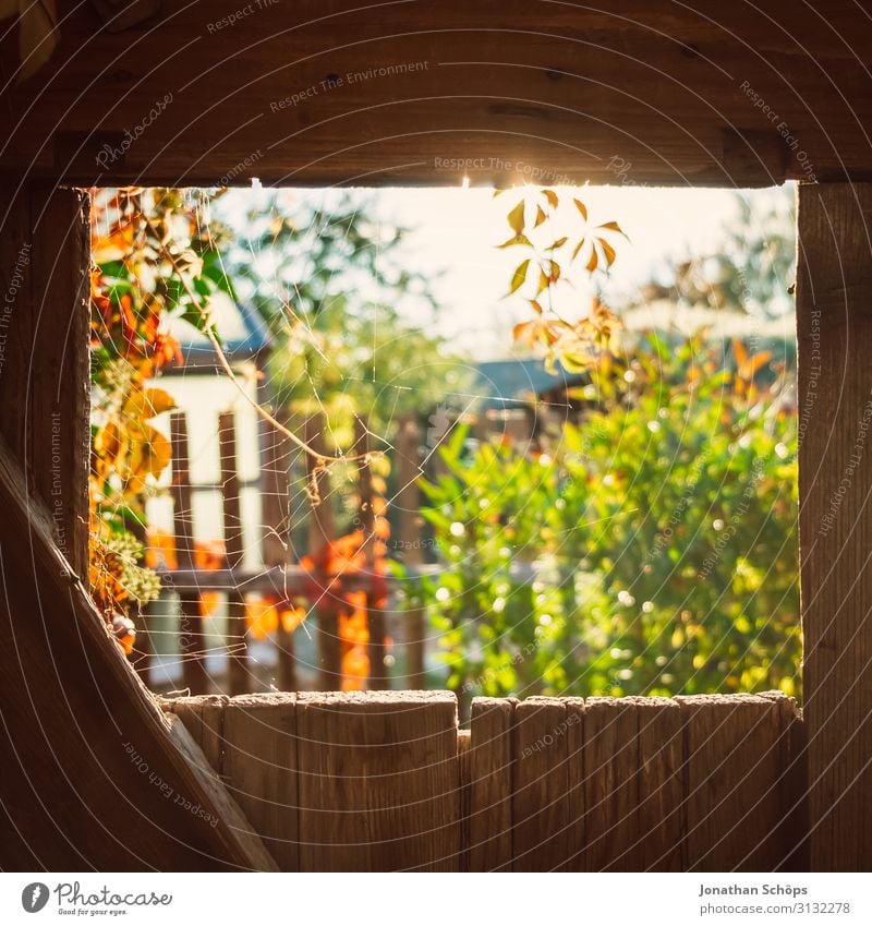 Blick durch eine Holztür im Garten im Herbst Architektur Hintergrundbild schön Scheune Schuppen Lagerschuppen mehrfarbig Textfreiraum oben Textfreiraum unten