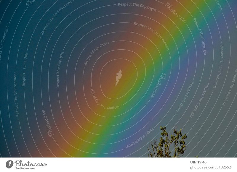 Rainbow. Sommer Urelemente Luft Himmel nur Himmel Wolkenloser Himmel beobachten ästhetisch authentisch fantastisch natürlich blau mehrfarbig gelb grün orange