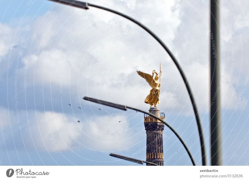 Siegessäule mit Laternen und Vögeln Denkmal else Goldelse viktoria großer stern Tiergarten Park Wald Berlin-Mitte Deutschland Figur gold blattgold Hauptstadt