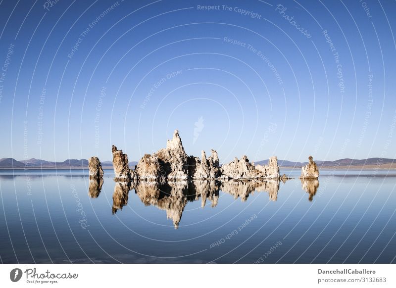 silence of the tufas... Natur Landschaft Wasser Wolkenloser Himmel Klima Schönes Wetter Seeufer Mono Lake Tuffstein Tuffschicht Reflexion & Spiegelung ruhig