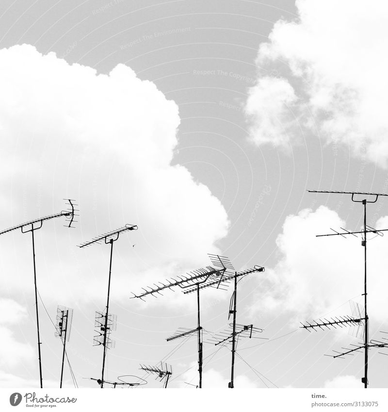 Stadtgiraffen (2) Technik & Technologie Unterhaltungselektronik Informationstechnologie Antenne Empfang empfangsbereit Himmel Wolken Schönes Wetter Zusammensein