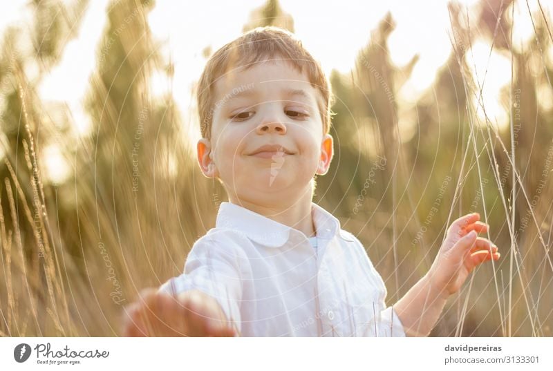 Kind im Feld spielt mit Spitzen bei Sonnenuntergang im Sommer. Lifestyle Freude Glück schön Leben Freizeit & Hobby Spielen Freiheit Mensch Junge Kindheit Natur