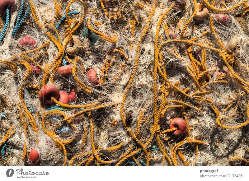 Fischer Netz Umwelt Natur Klima Küste Seeufer Flussufer Strand Bucht Fjord Riff Korallenriff Meer Insel Fischerboot Motorboot Jagd Zufriedenheit Qualität