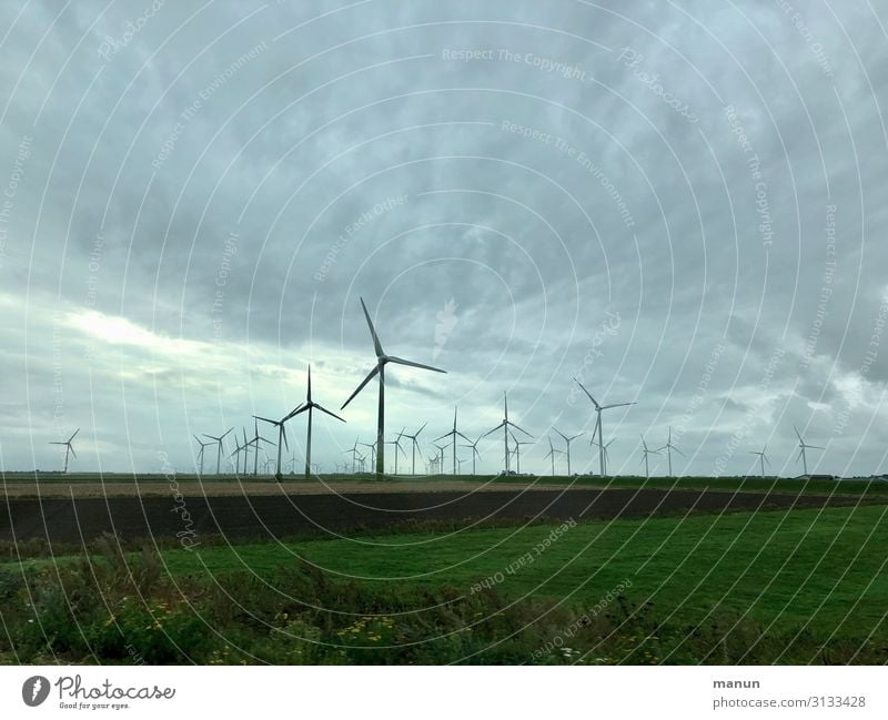 Windräder Technik & Technologie Energiewirtschaft Windkraftanlage Natur Landschaft Klimawandel Wetter schlechtes Wetter Feld planen Politik & Staat Umwelt