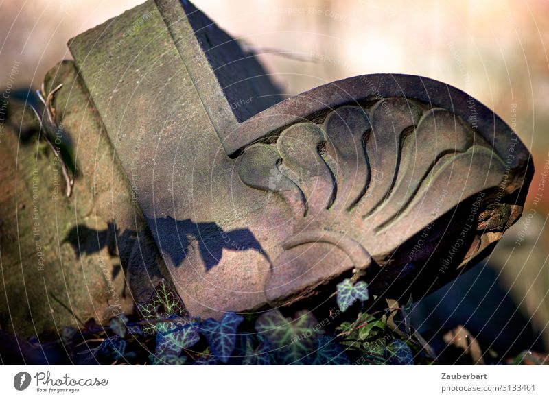 Ornament und Schatten auf dem Fragment einer Skulptur auf dem Friedhof Park Grab Grabstein Grabmal Stein schlafen alt braun trösten geduldig ruhig demütig