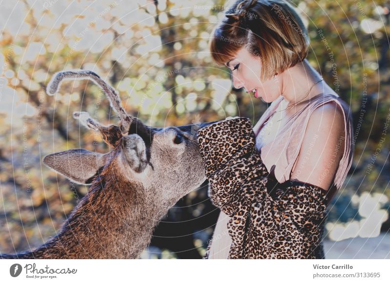 Eine junge Frau mit einem Reh im Wald Lifestyle elegant Stil Mensch feminin 1 18-30 Jahre Jugendliche Erwachsene Natur Tier Klima exotisch Gefühle Stimmung