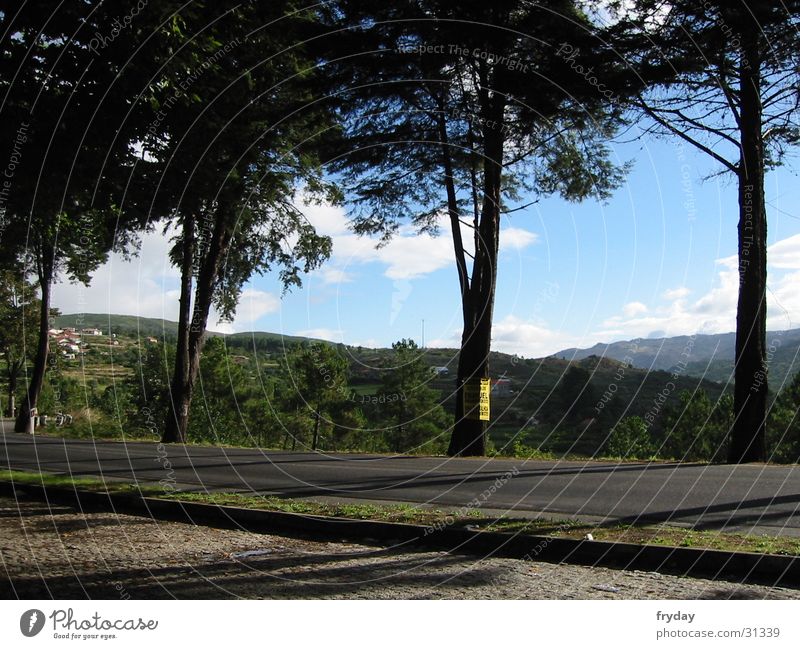 rast und ruh Portugal Pause Baum Parkplatz Aussicht Europa