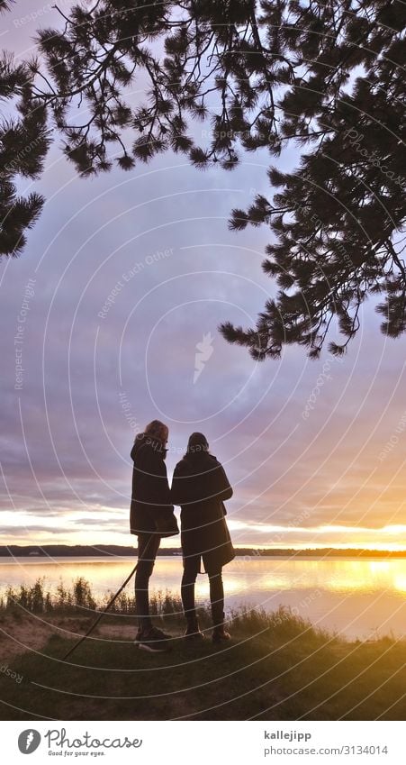 wenn der sommer geht Mensch Mädchen Junge Geschwister Bruder Schwester Kindheit Jugendliche Leben 13-18 Jahre wandern Wasser Meer Küste Schlei Nadelwald