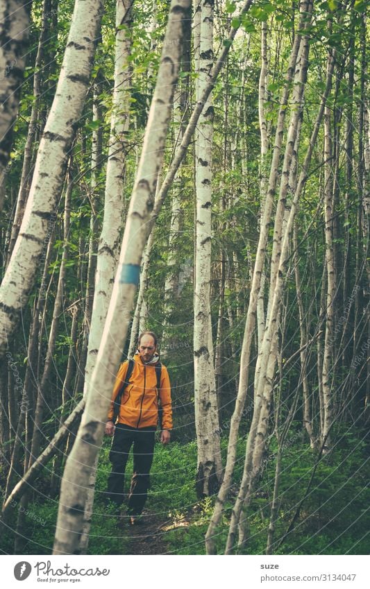 Zwischendurch harmonisch Ferien & Urlaub & Reisen wandern Mensch Mann Erwachsene 1 30-45 Jahre Umwelt Natur Landschaft Pflanze Klima Nutzpflanze Wildpflanze