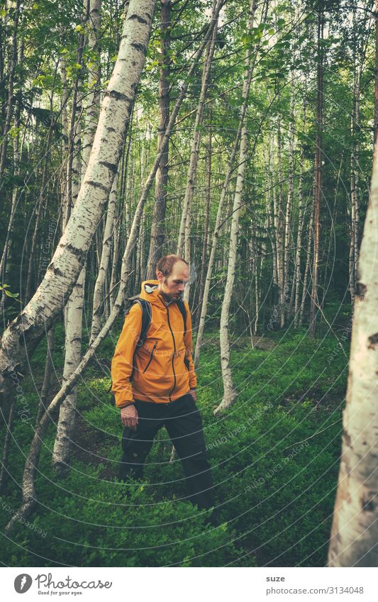 Gedankenpfad Gesundheit ruhig Ferien & Urlaub & Reisen Ausflug Abenteuer Freiheit wandern Mensch maskulin 1 30-45 Jahre Erwachsene Umwelt Natur Landschaft