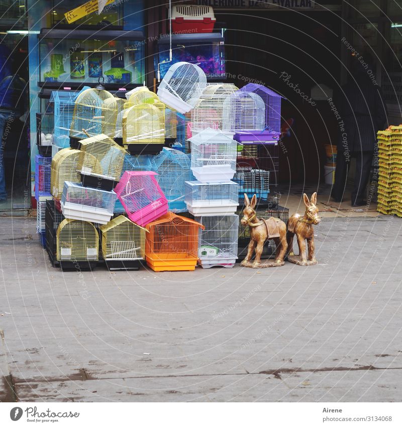 Leerstand kaufen Tierhandlung Basar Markt Ladengeschäft Spielzeug Käfig Vogelkäfig Stofftiere Kunststoff Fröhlichkeit hell Kitsch lustig niedlich viele