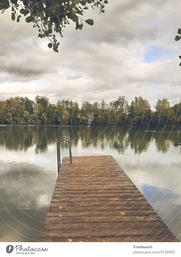 Spiegelung im See Ausflug Schwimmen & Baden Joggen Natur Landschaft Wasser Himmel Wolken Herbst Seeufer Erholung Bewegung Freizeit & Hobby ruhig Farbfoto