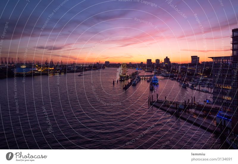 Hamburger Hafen bei Sonnenuntergang Stadt Hafenstadt Sehenswürdigkeit Wahrzeichen Schifffahrt Binnenschifffahrt Kreuzfahrt positiv Farbfoto Außenaufnahme