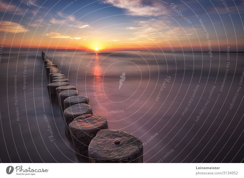 Sonnenaufgang am Strand Erholung ruhig Schwimmen & Baden Wellen Umwelt Natur Landschaft Wasser Himmel Wolken Sonnenuntergang Küste Ostsee Meer Koserow