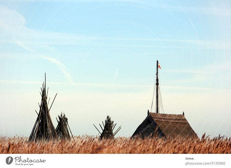 Heimatfilm Getreide Getreidefeld Häusliches Leben Umwelt Natur Landschaft nur Himmel Horizont Schönes Wetter Nutzpflanze Feld Küste Mecklenburg-Vorpommern Dach