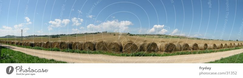 Feld in weite ... Panorama (Aussicht) Weitwinkel Stroh Strohballen Frankreich Fußweg Wolken Korn groß Panorama (Bildformat)