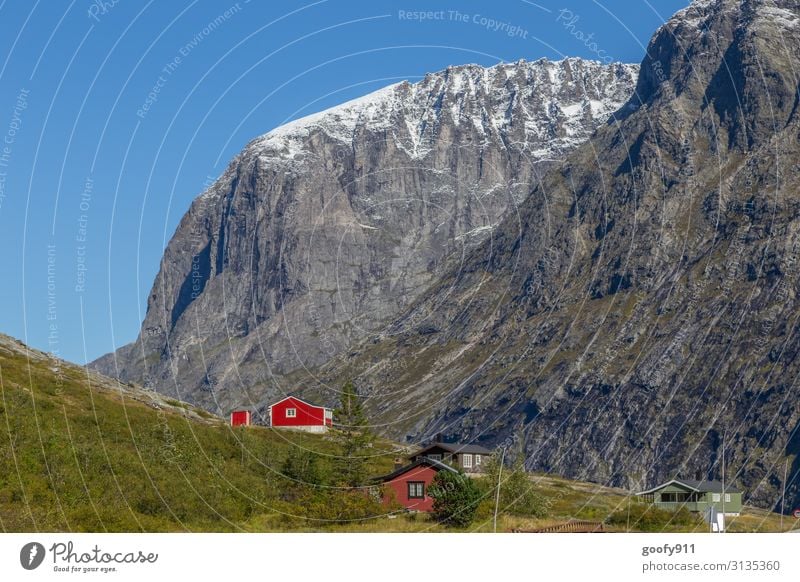 Schöner Wohnen Ferien & Urlaub & Reisen Tourismus Ausflug Abenteuer Ferne Freiheit Expedition Natur Landschaft Himmel Wolkenloser Himmel Horizont Sonnenlicht