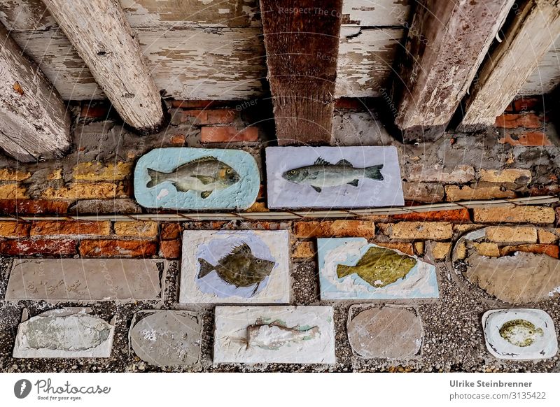 Art of Fishermen Ferien & Urlaub & Reisen Tourismus Sightseeing Städtereise Häusliches Leben Haus Dekoration & Verzierung Beruf Fischer Kunst Kunstwerk Chioggia