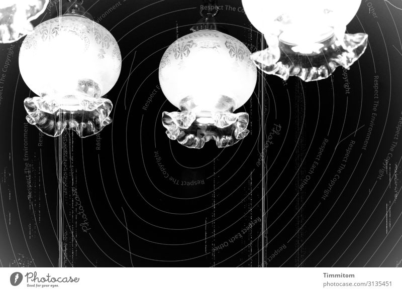 Foto | Firlefanz Häusliches Leben Lampe Glas hängen alt grau schwarz weiß Gefühle Vergänglichkeit Filter antik Kratzer Lampenschirm Schwarzweißfoto