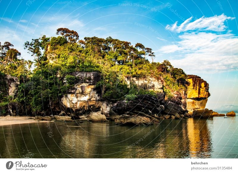 wenn die sonne aufgeht Ferien & Urlaub & Reisen Tourismus Ausflug Abenteuer Ferne Freiheit Umwelt Natur Landschaft Wasser Himmel Wolken Baum Urwald Felsen Küste