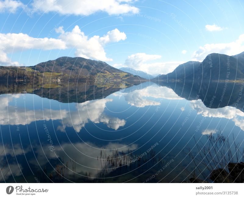 Sonntagsruhe... Natur Wolken Winter Schönes Wetter Alpen See Mondsee Österreich Zufriedenheit Einsamkeit Erholung Idylle ruhig stagnierend Salzkammergut