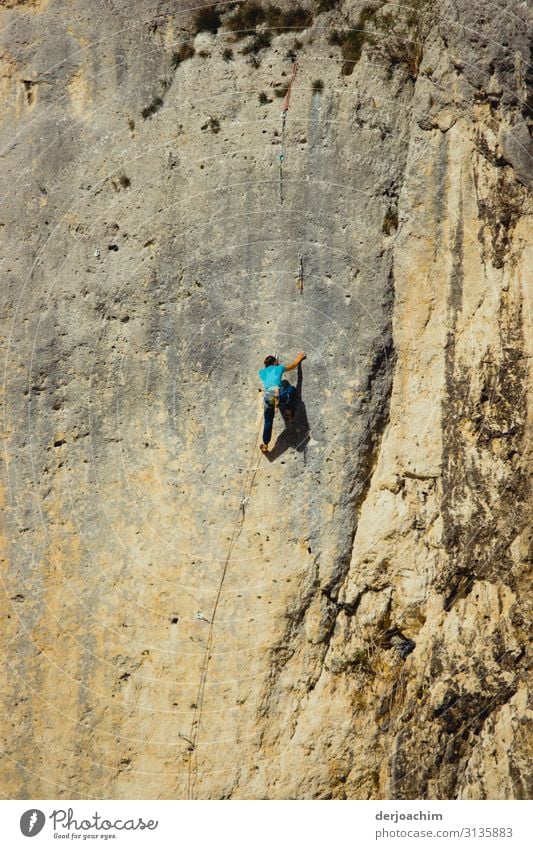 Immer an der Felswand- Wand hoch. Freude Leben Freizeit & Hobby Fitness Sport-Training Klettern Bergsteigen Seil feminin Frau Erwachsene Freundschaft Körper 1