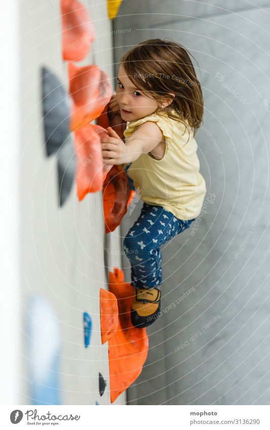 Mädchen klettert an Kletterwand Lifestyle Gesicht Gesundheit sportlich Fitness Sport Klettern Bergsteigen Bouldern Kindererziehung feminin Kleinkind Kindheit 1