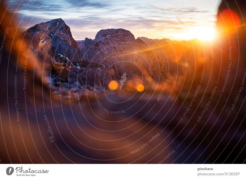 Morgens am Berg Natur Landschaft Sonnenaufgang Sonnenuntergang Sonnenlicht Herbst Klima Schönes Wetter Felsen Alpen Berge u. Gebirge Gipfel Kitsch natürlich