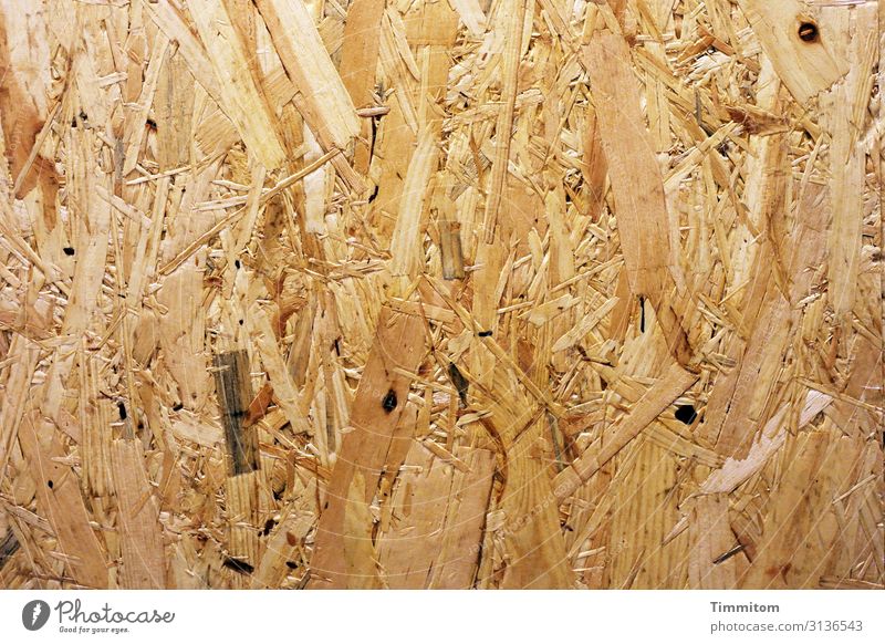 abgestorben | und zur Platte geworden Holz Teile Farbfoto Farbe eben Funktion Außenaufnahme