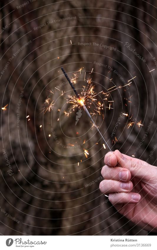 wunderkerze Freude Glück Veranstaltung Feste & Feiern Valentinstag Silvester u. Neujahr Hochzeit Geburtstag Hand glänzend Fröhlichkeit positiv Stimmung