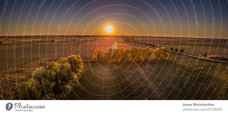 Panorama von Feldern für die Landwirtschaft bei Sonnenuntergang Landschaft Erde Himmel Wolkenloser Himmel Sonnenlicht Baum Wiese Dorf Menschenleer dunkel frei