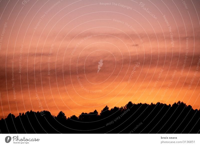 Sonnenuntergang Erholung Tapete Kunst Umwelt Natur Landschaft Himmel Wolken Horizont Herbst Wetter Baum Blatt Wald Skyline dunkel gelb rot schwarz Umweltschutz