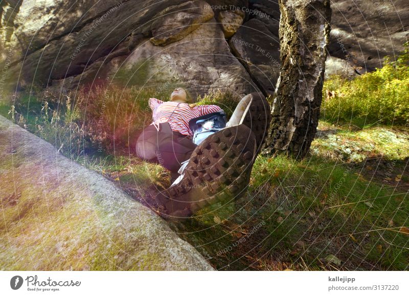 päuschen wandern feminin Junge Frau Jugendliche Körper Beine Fuß 1 Mensch Umwelt Natur Landschaft Pflanze Tier Gras Sträucher Moos Wiese Felsen schlafen Pause