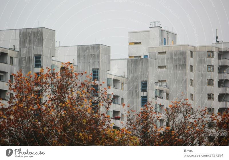 Nachbarschaften (II) Himmel Baum Berlin Haus Hochhaus Bauwerk Gebäude Architektur Wohnsiedlung Wohnhochhaus Wohngebiet Mauer Wand Fenster Beton Linie Streifen