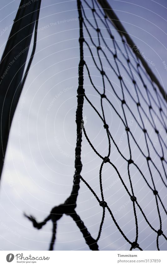 Ein Netz in der Luft Sport Himmel Wetter Metall Kunststoff hängen kaputt blau schwarz Stab Sportplatz Farbfoto Außenaufnahme Muster Menschenleer Tag