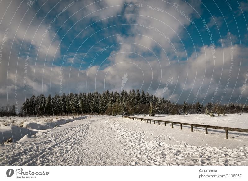 So war es an diesem verschneitem, sonnigen Wintertag Ausflug Schnee Winterurlaub wandern Landschaft Himmel Wolken Horizont Eis Frost Schneefall Baum Fichtenwald