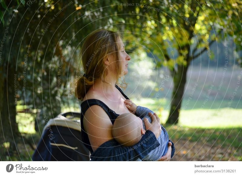 Mutter und Kind genießen den schönen Herbsttag Baby Frau Erwachsene 2 Mensch Landschaft Sonne Schönes Wetter Baum Blatt Wiese Wald Seeufer Kinderwagen stehen