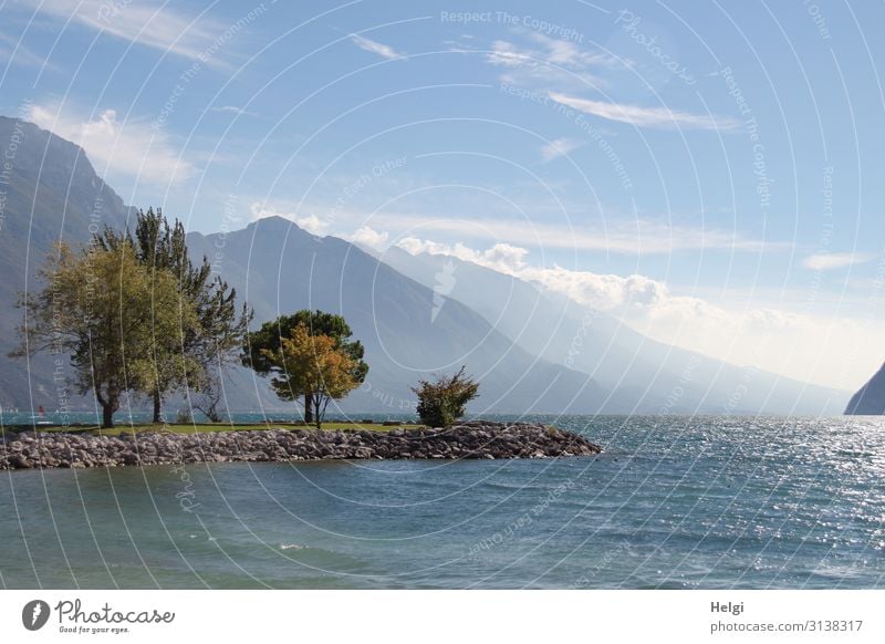 Panoramaaufnahme am Gardasee mit Bäumen auf einer Landzunge, hohen Bergen und blauem Himmel mit Wolken im Hintergrund Ferien & Urlaub & Reisen Tourismus Umwelt