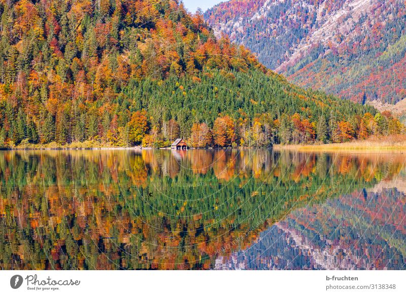 Herbstliche Farbenspiele Ferien & Urlaub & Reisen Tourismus Ausflug Freiheit Berge u. Gebirge wandern Natur Landschaft Schönes Wetter Baum Blatt Wald Alpen See