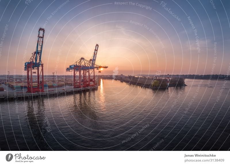 Containerbrücken im Sonnenuntergang Industrie Landschaft Himmel Wolkenloser Himmel Sonnenaufgang Schönes Wetter Hafenstadt Industrieanlage Schifffahrt