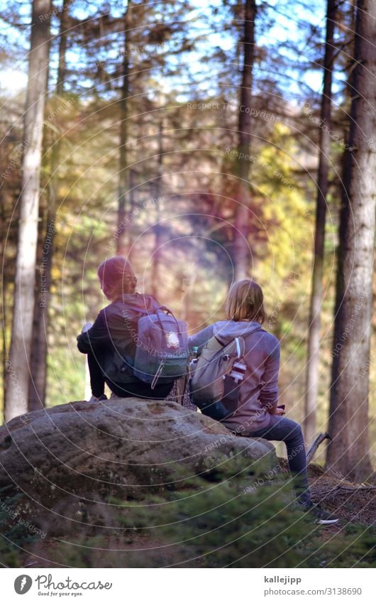 augenblicke Mensch Mädchen Junge Junge Frau Jugendliche Kindheit Leben 2 Umwelt Natur Landschaft Pflanze Tier Herbst Baum Wald Felsen Turnschuh wandern Rucksack