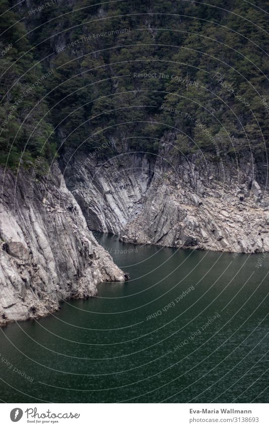 Felsen im Stausee Ferien & Urlaub & Reisen Abenteuer Sommer Sonne Natur Sonnenlicht Schönes Wetter Baum See Sehenswürdigkeit Stein Wasser laufen frei grün weiß