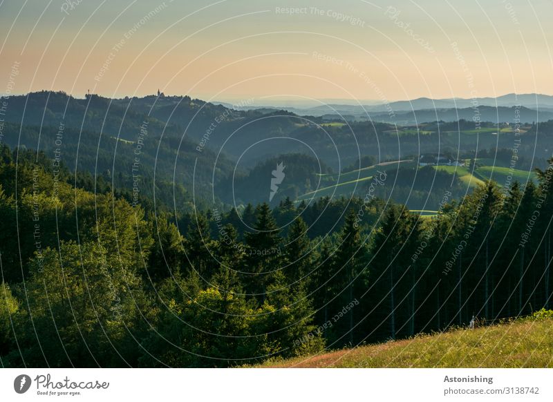 Mühlviertel Umwelt Natur Landschaft Luft Himmel Horizont Sonnenaufgang Sonnenuntergang Sommer Wetter Schönes Wetter Pflanze Baum Gras Wiese Feld Wald Hügel