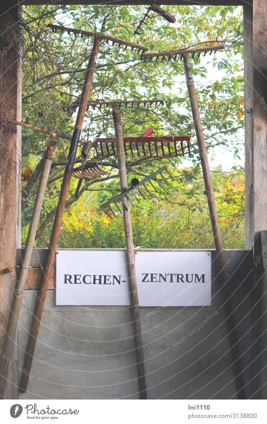 Rechenzentrum Herbst Baum Grünpflanze Garten Park Holz Metall Stahl Kommunizieren mehrfarbig Symbole & Metaphern lustig Handarbeit unklar Harke Gartengeräte