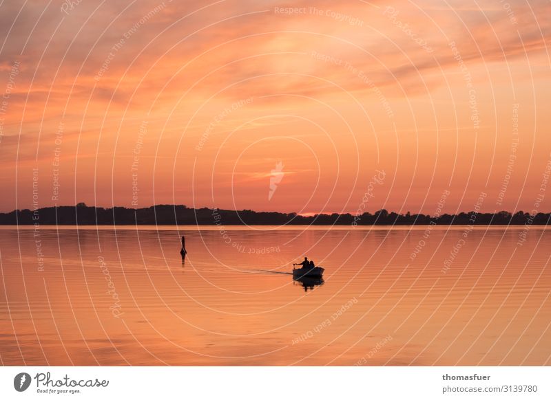 Sonnenuntergang mit Boot Angeln Ferien & Urlaub & Reisen Sommer Meer Fischer Fischerboot Mensch maskulin Mann Erwachsene 1 Wasser Himmel Horizont Schönes Wetter