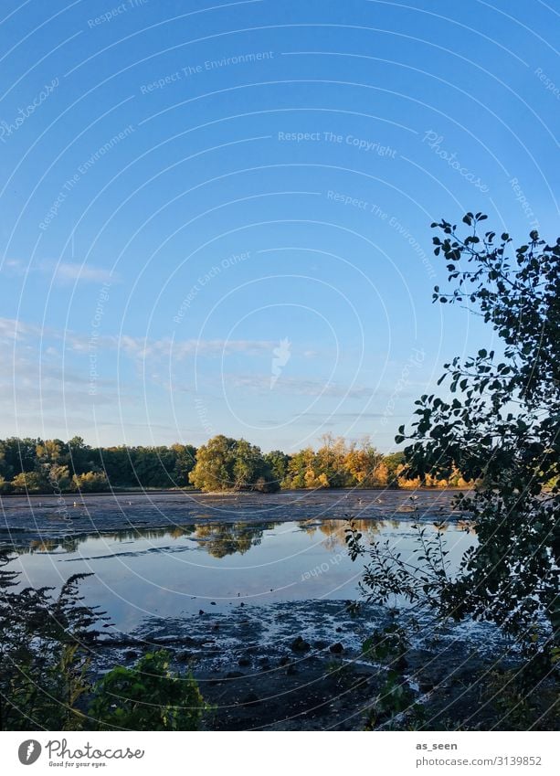 Herbstlicher See Ferien & Urlaub & Reisen Ausflug Umwelt Natur Landschaft Pflanze Schönes Wetter Baum Seeufer Kreuzteich Braunschweig Riddagshausen ästhetisch