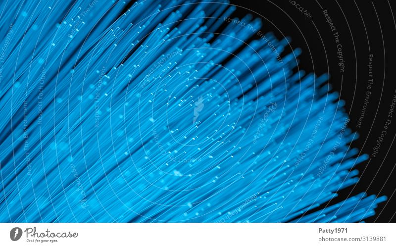 Neonblau leuchtende Fiberglaskabel - 3D render Kabel Technik & Technologie Unterhaltungselektronik Fortschritt Zukunft High-Tech Telekommunikation